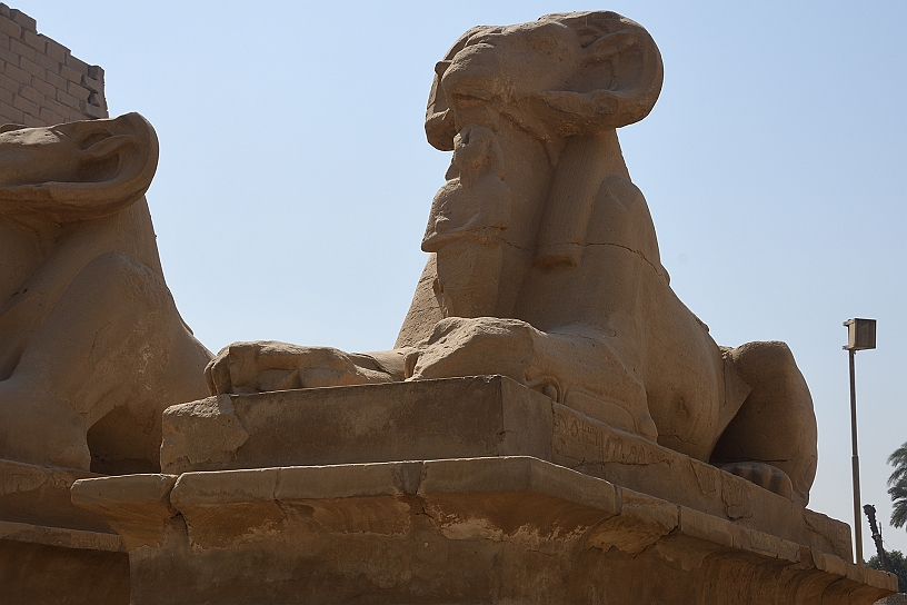 06 MAK_6094.jpg - Le statue proteggono il faraone.